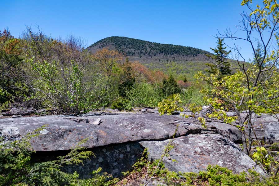 middle of the giant bluestone slab at the base of wittenberg mountain