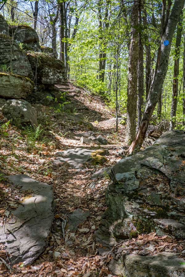 trail past the Giant Bluestone Slab