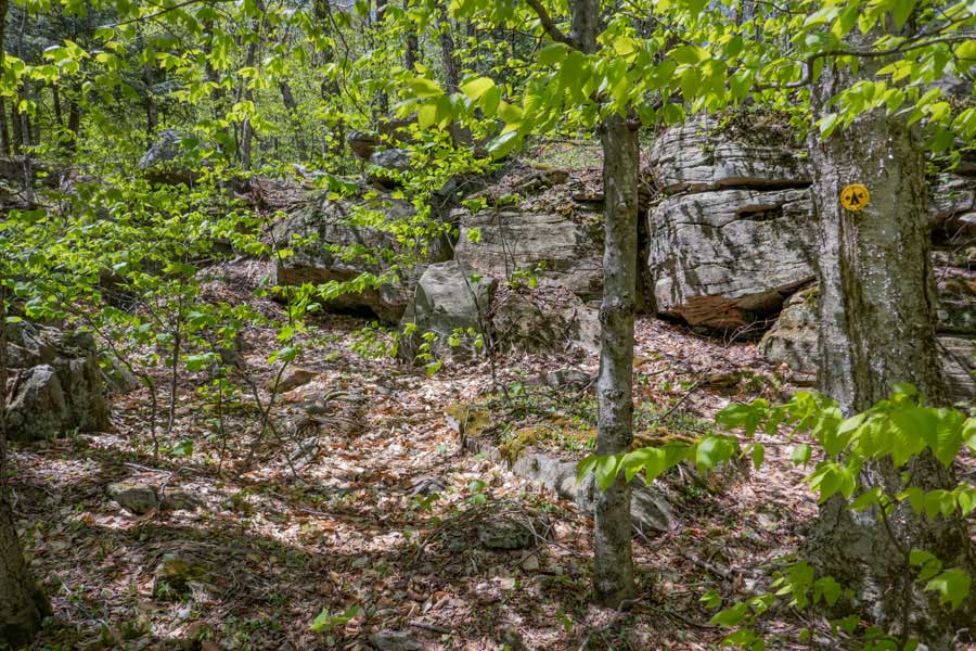 primitive campsite at the base of Wittenberg mountain