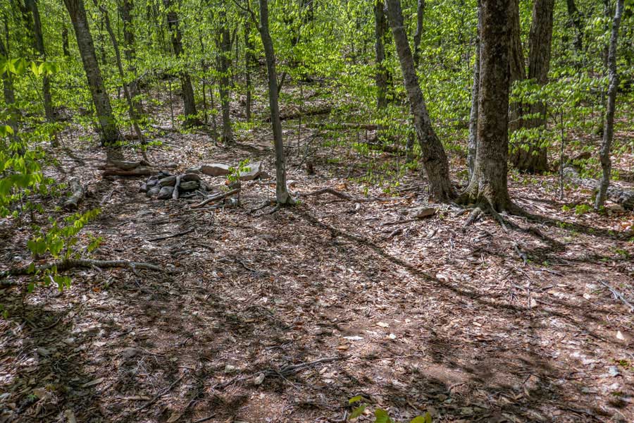 primitive campsite at the base of Wittenberg mountain