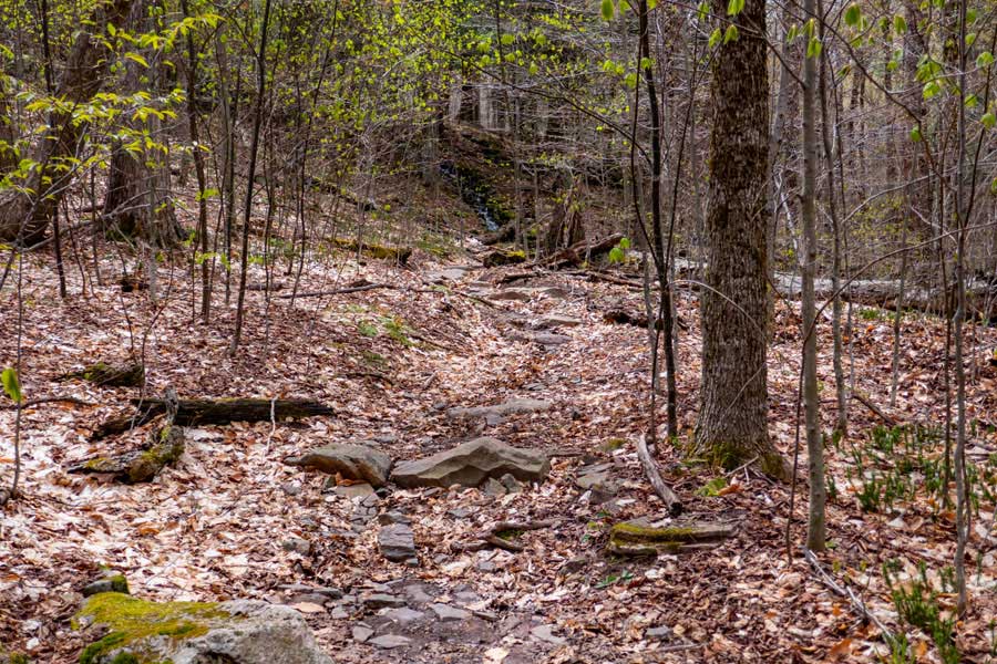 water source on the phoenicia east branch trail near wittenberg and terrance lean-to