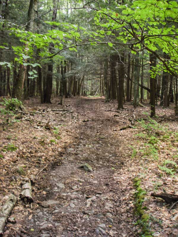 Ashokan High Point