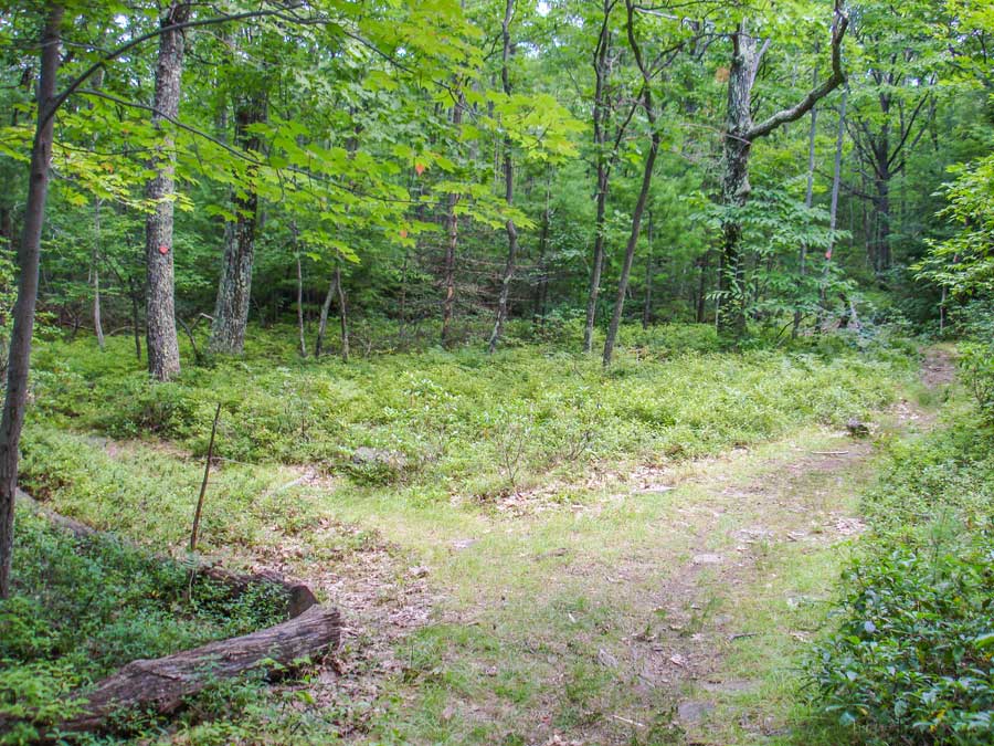 Ashokan High Point