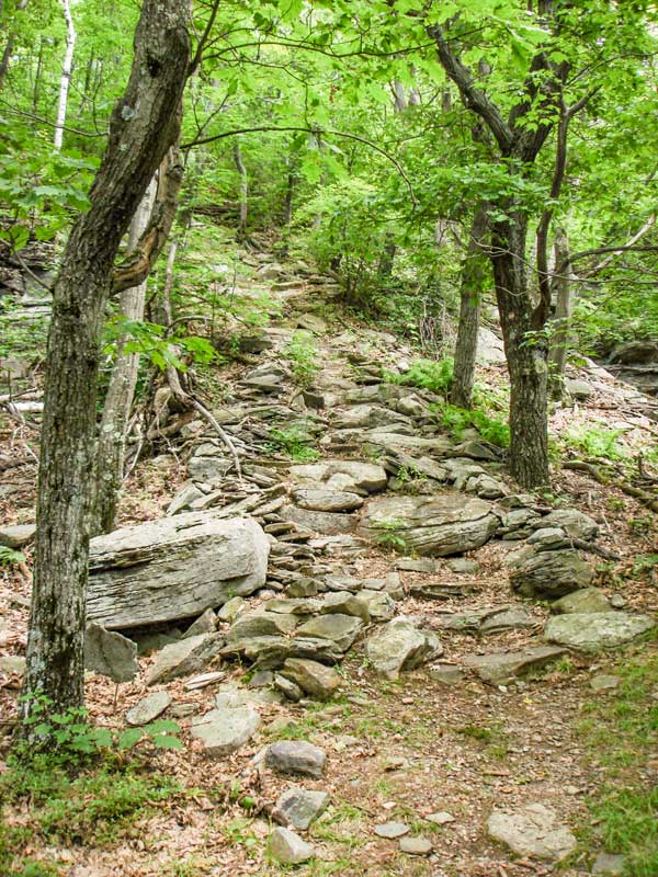Ashokan High Point