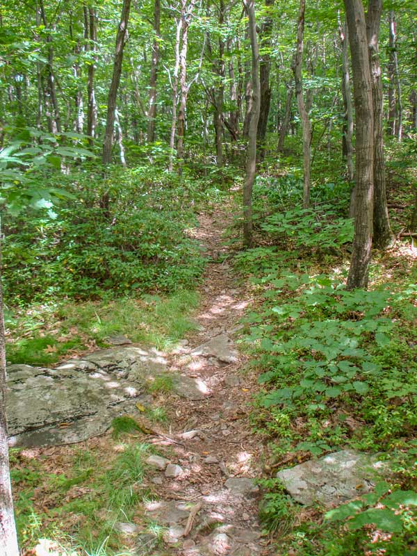 Ashokan High Point