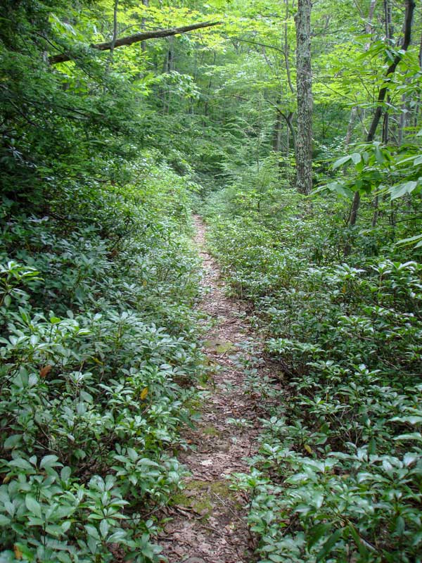Ashokan High Point