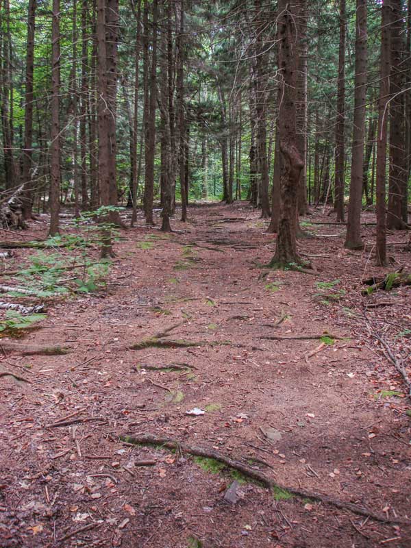 Ashokan High Point