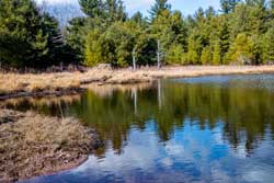 Vernooy Kill Upper Balsam Swamp