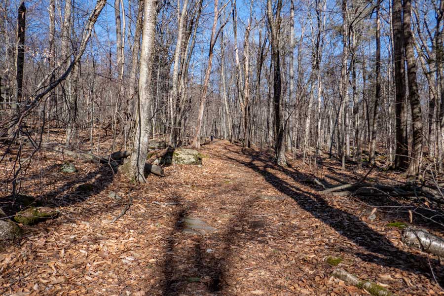 Pople Hill Trail and Long Path