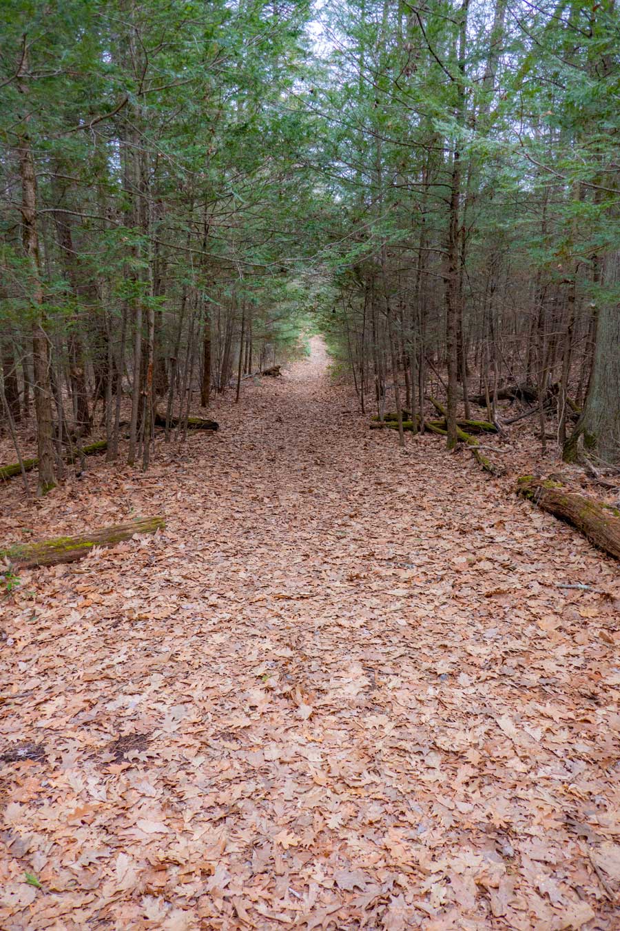 beginning of the Vernooy Kill Falls Trail