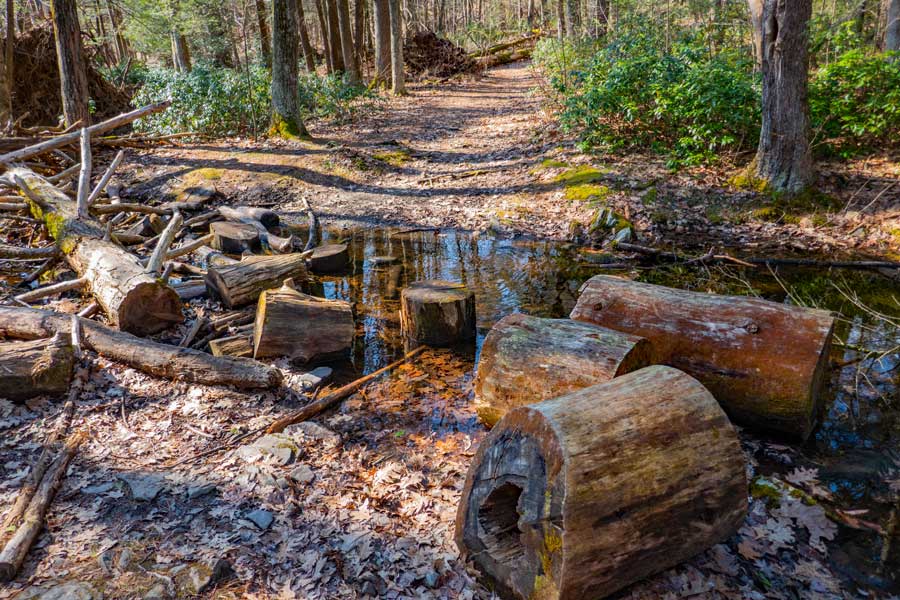 water crossing on the beginning of the Vernooy Kill Falls Trail 