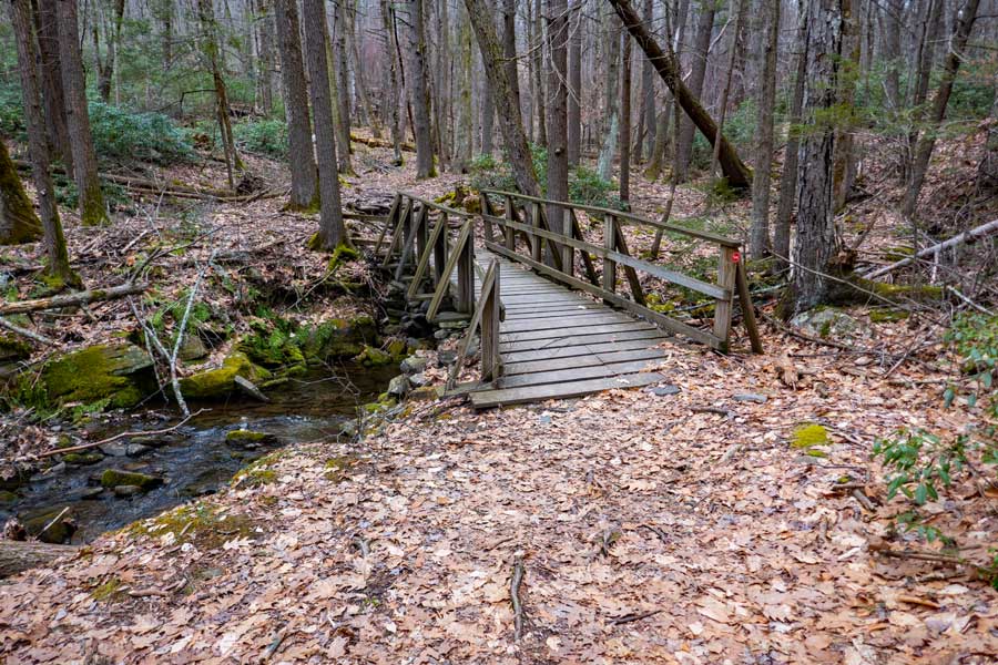 DEC bridge crossing the Mombaccus Creek on the Vernooy Kill Falls Trail (EAST)