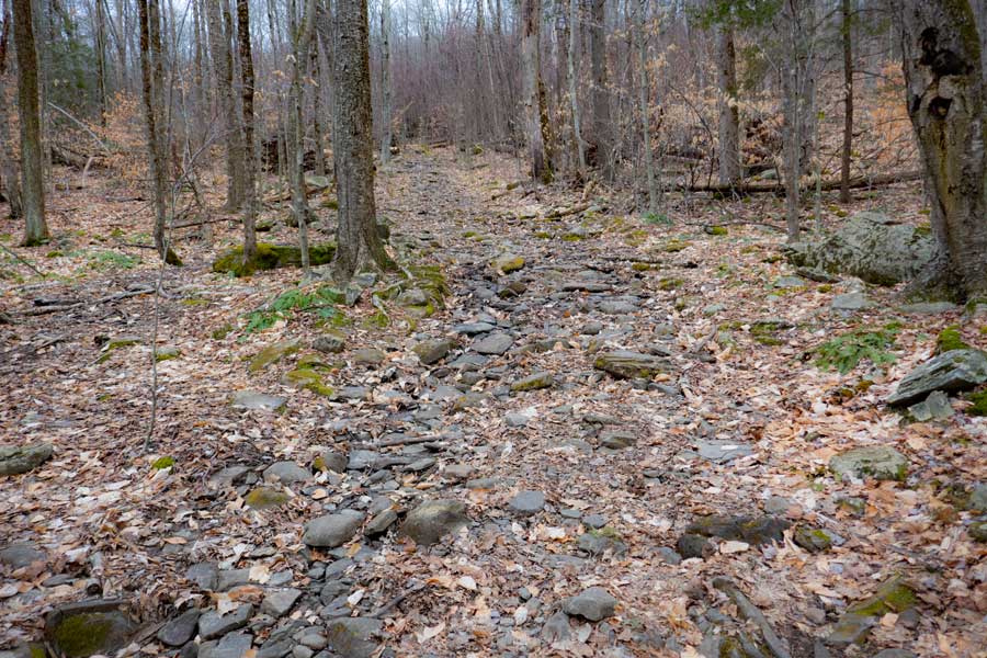rocky section of the Vernooy Kill fall trail - east branch