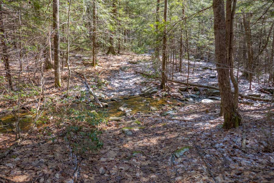 small stream crossing on the Vernooy Kill Falls Trail 