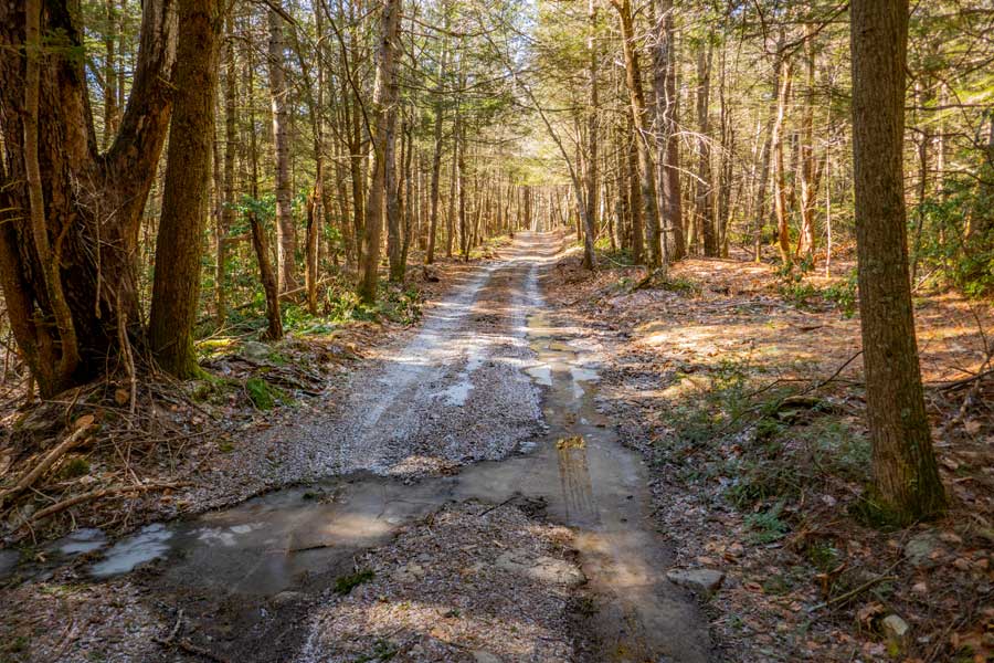 Spencer Road near Trails End Road