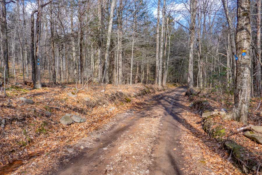 trail junction to Bangle Hill Trail that goes to Peekamoose Valley and is about 4 miles long