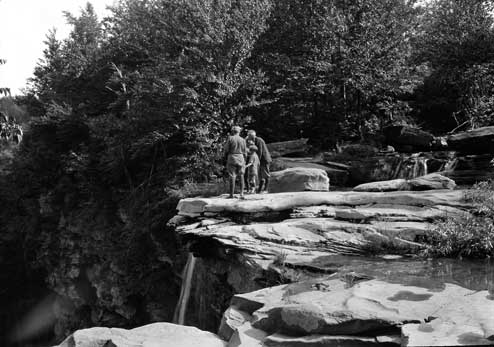 view of the top of haines falls