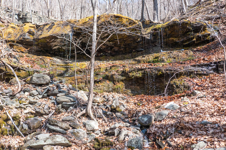 Lewis Hollow waterfall #9