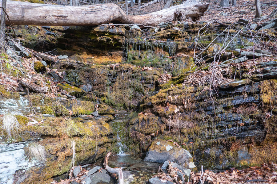 Lewis Hollow waterfall #10