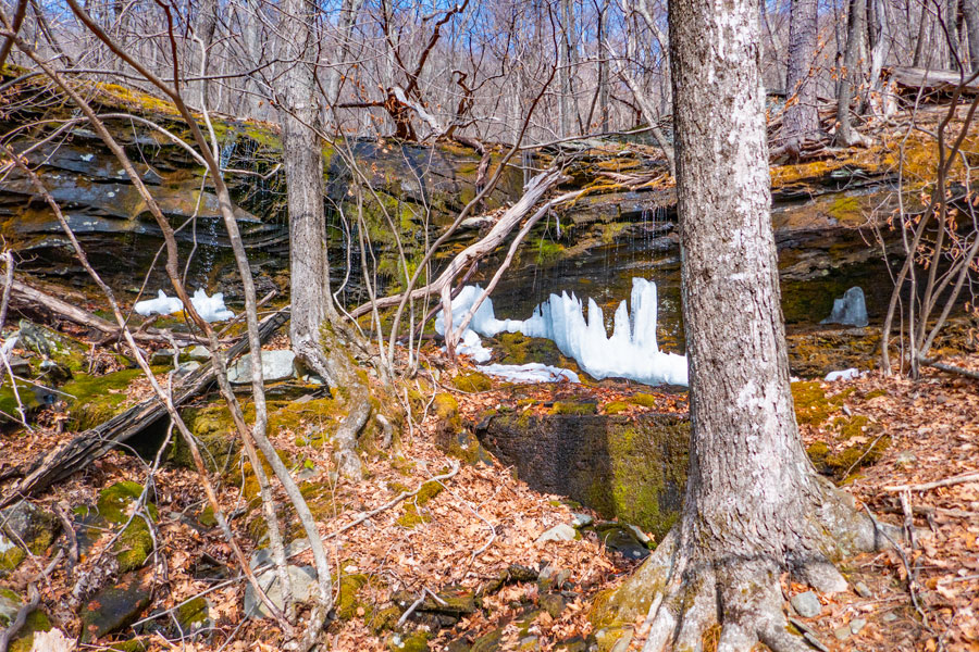 Lewis Hollow waterfall #11