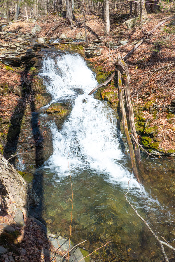 Lewis Hollow lower waterfall #1