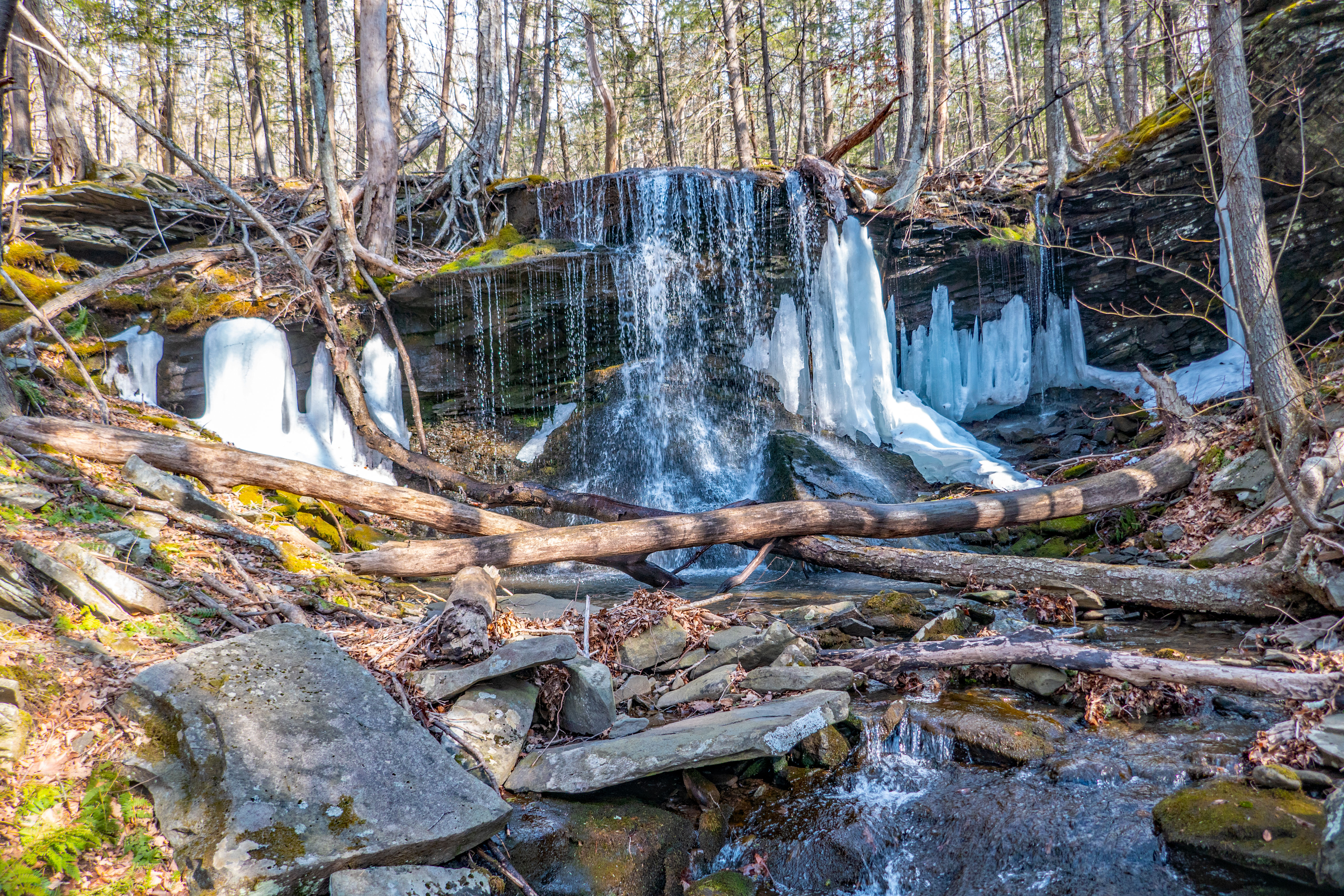 Lewis Hollow