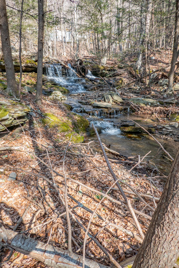 Lewis Hollow lower waterfall #2