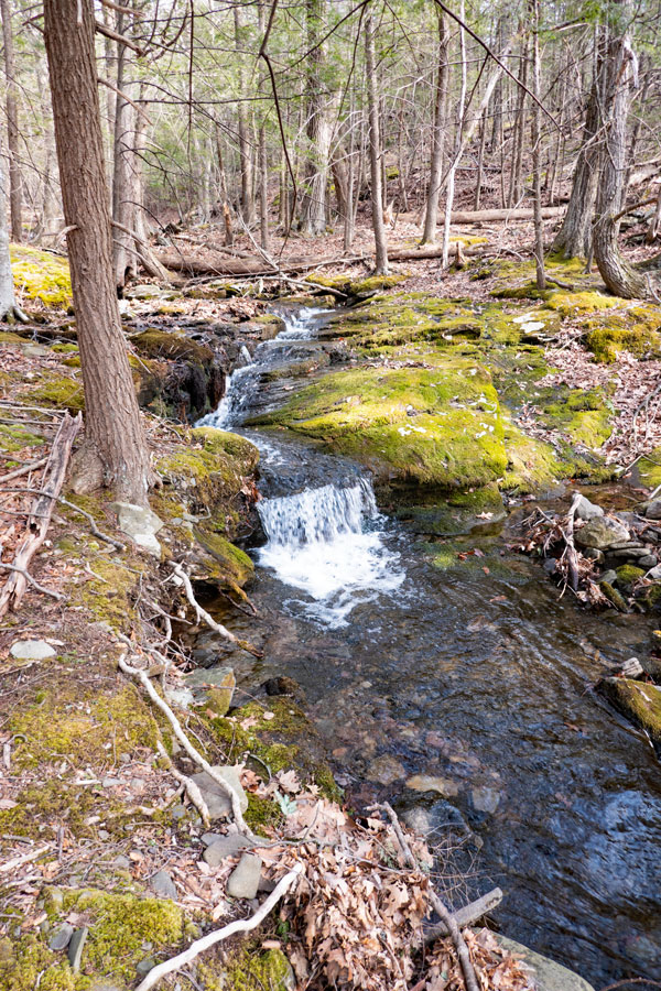 Lewis Hollow lower waterfall #2