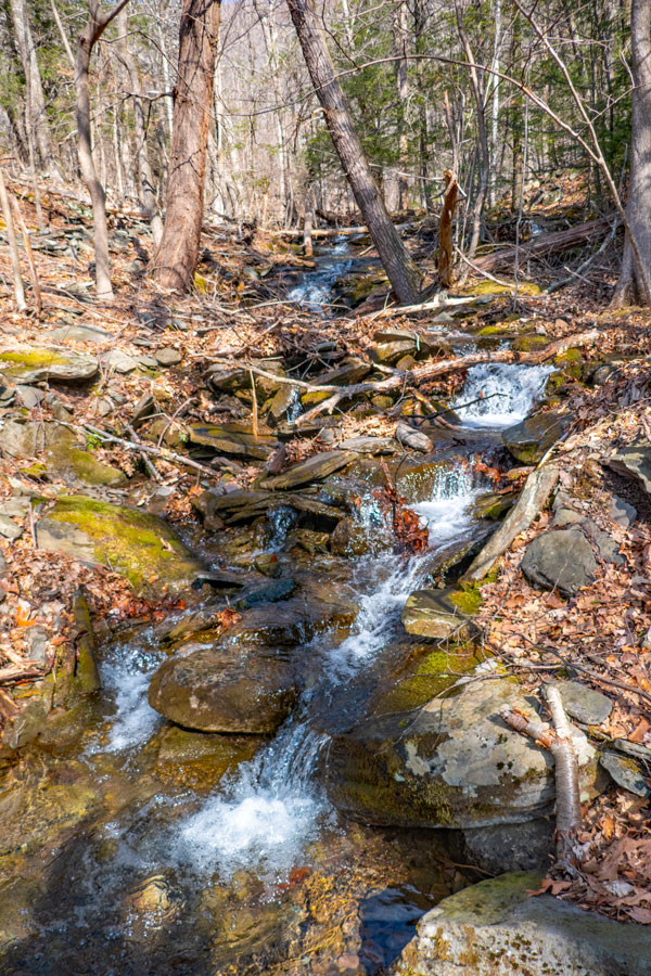 Lewis Hollow lower waterfall #2