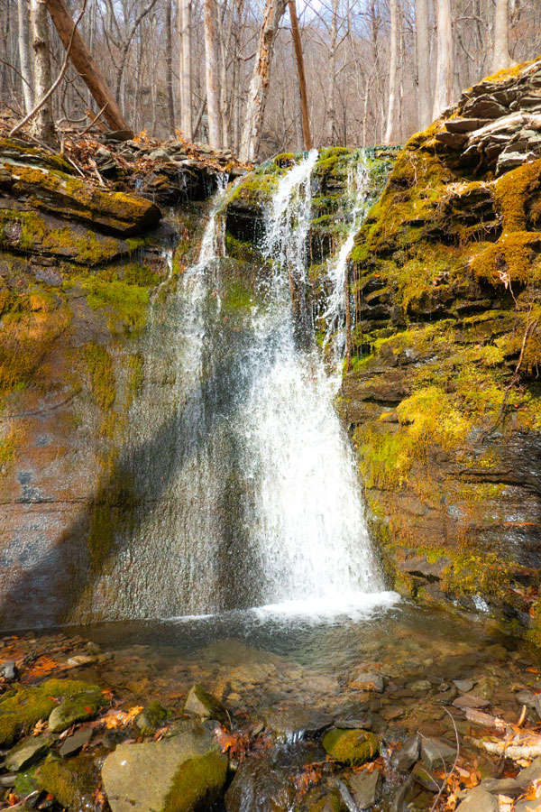 Lewis Hollow waterfall #6