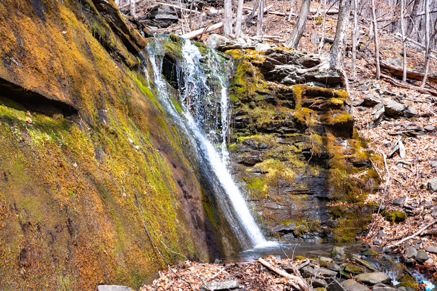 Lewis Hollow waterfall #6