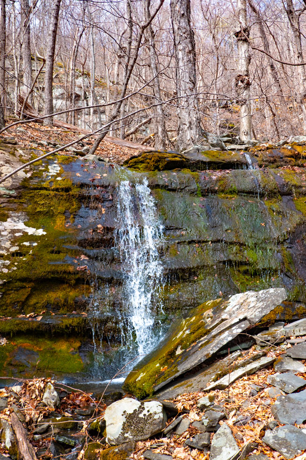 Lewis Hollow waterfall #7