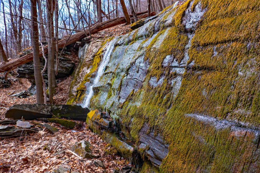 Lewis Hollow waterfall #7