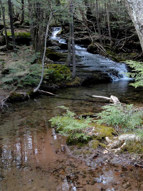 Lucas Kill Falls #1 on the Eastern Escarpment in the catskill mountains