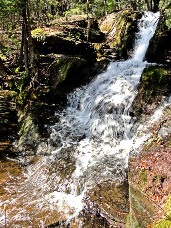 lucas kill falls #2 in the lucas kill ravine