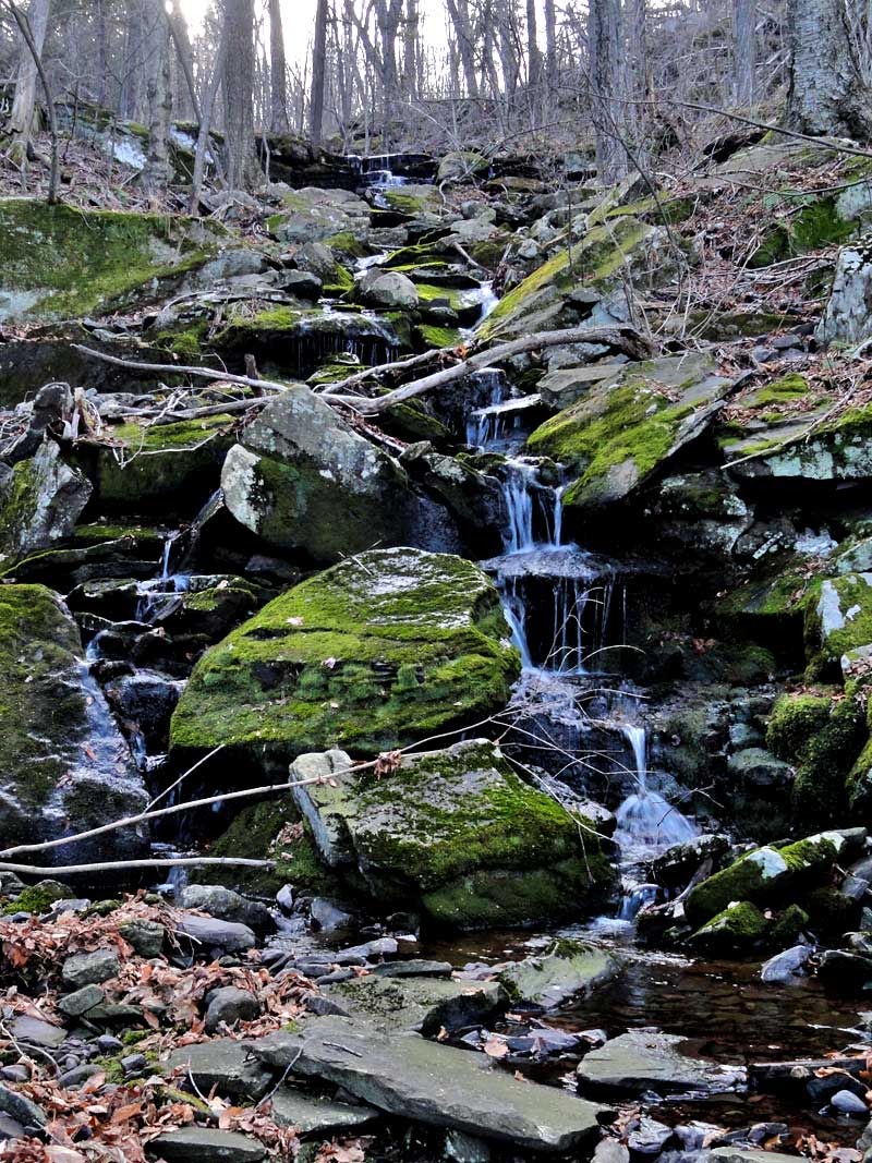 shelving rock falls in the hillyer ravine in the kaaterskill clove in the catskill mountains
