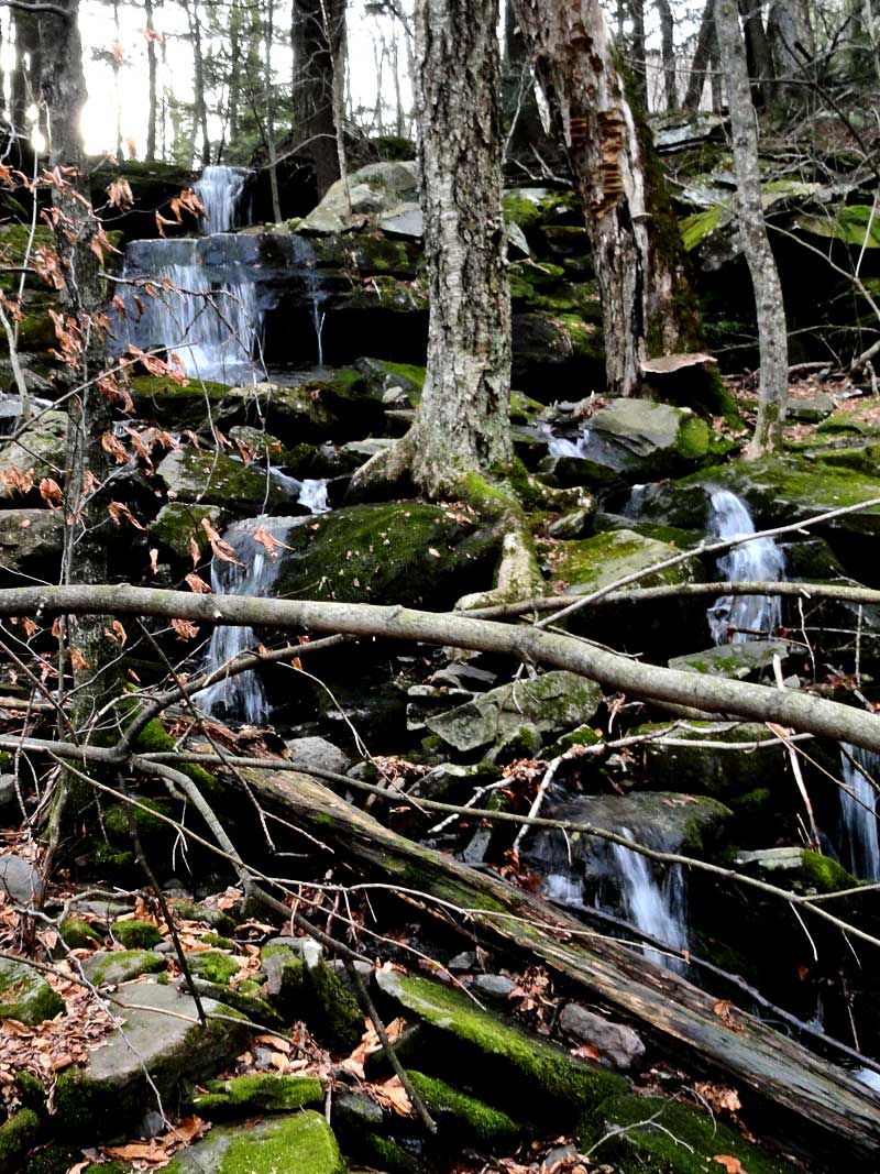 upper viola falls in the hillyer ravine in the kaaterskill clove in the catskill mountains
