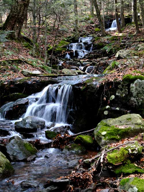 twin viola cascades in the hillyer ravine