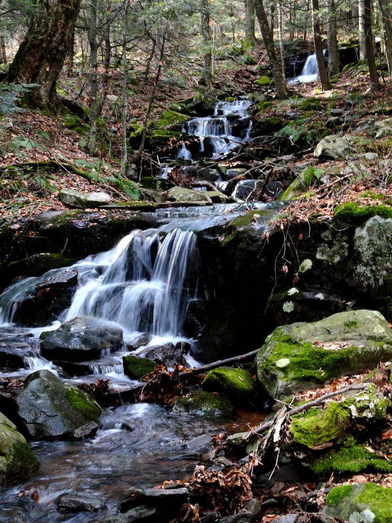 upper viola falls in the hillyer ravine in the kaaterskill clove in the catskill mountains