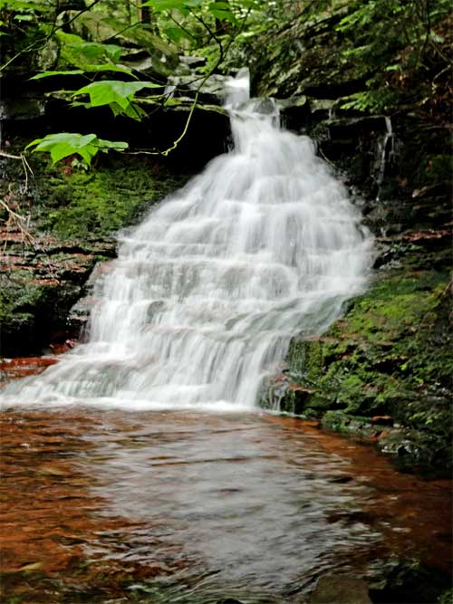 wildcat falls in the kaaterskill clove