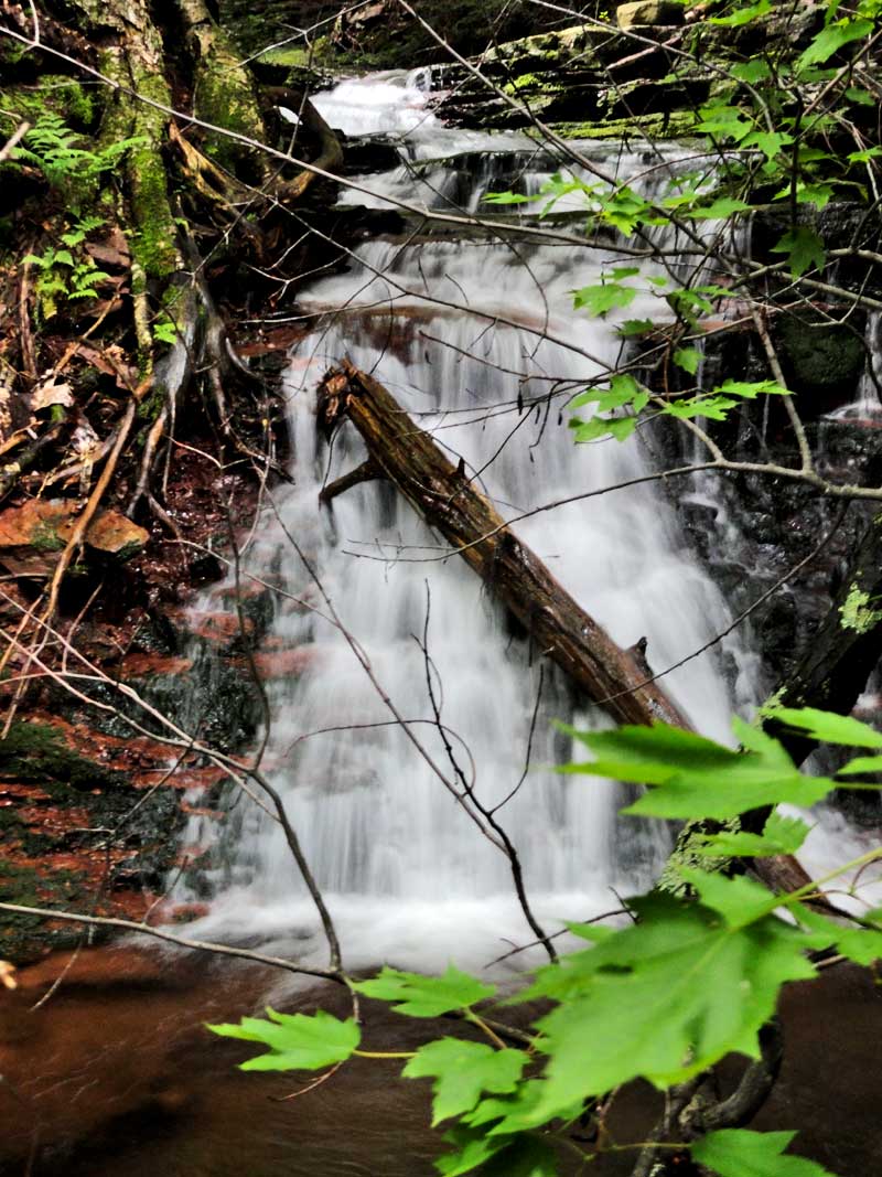 view of wildcat waterfalls #1 above the DEC trail