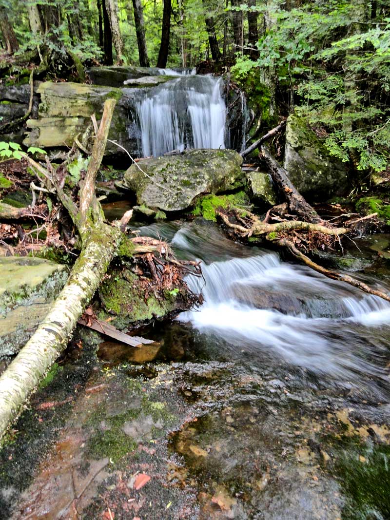 view of wildcat waterfalls #1 above the DEC trail