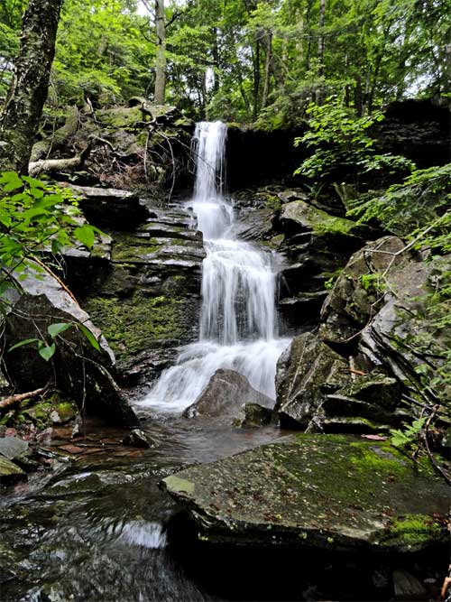wildcat falls in the kaaterskill clove