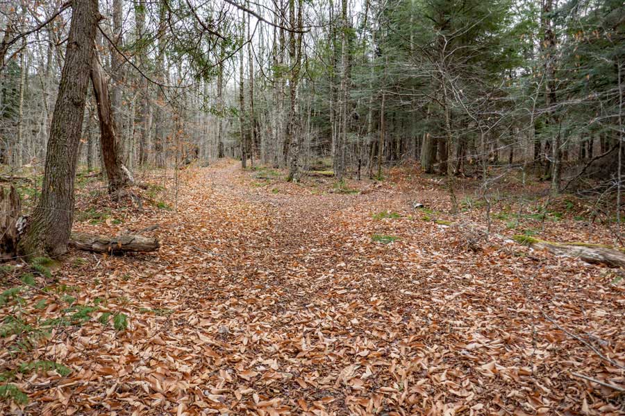 trail junction for the Karst Trail