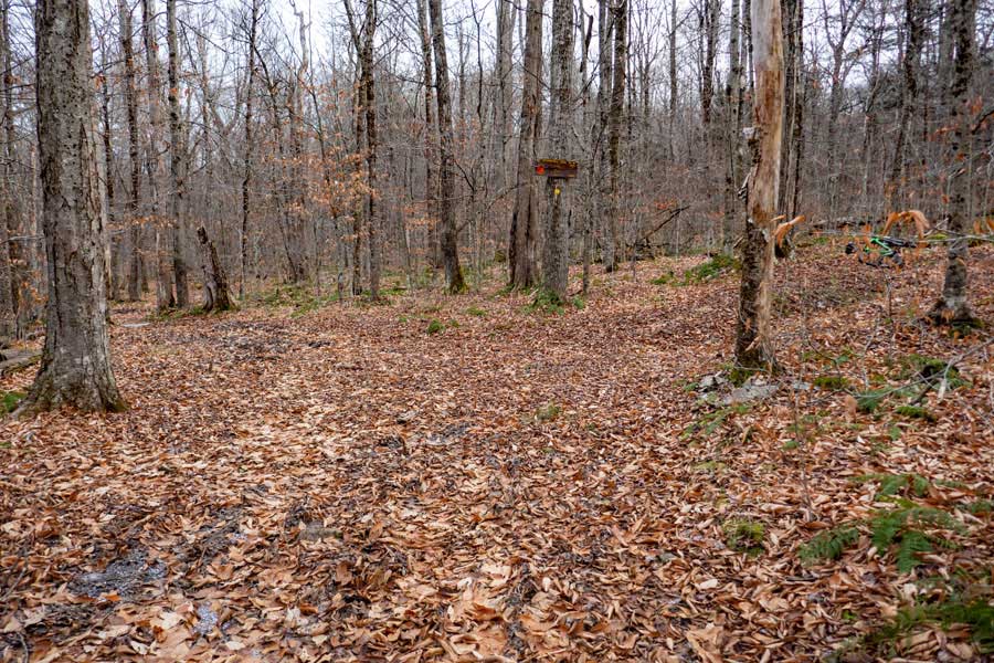 trail junction to the Mongaup-Willowemoc Trail