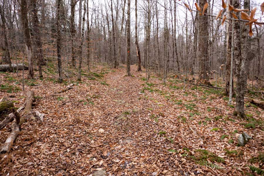 beginning of the Mongaup-Willowemoc Trail and uphill climb
