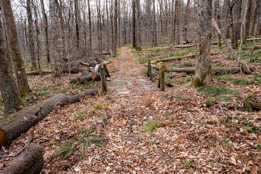 first bridge on the Mongaup-Willowemoc Trail