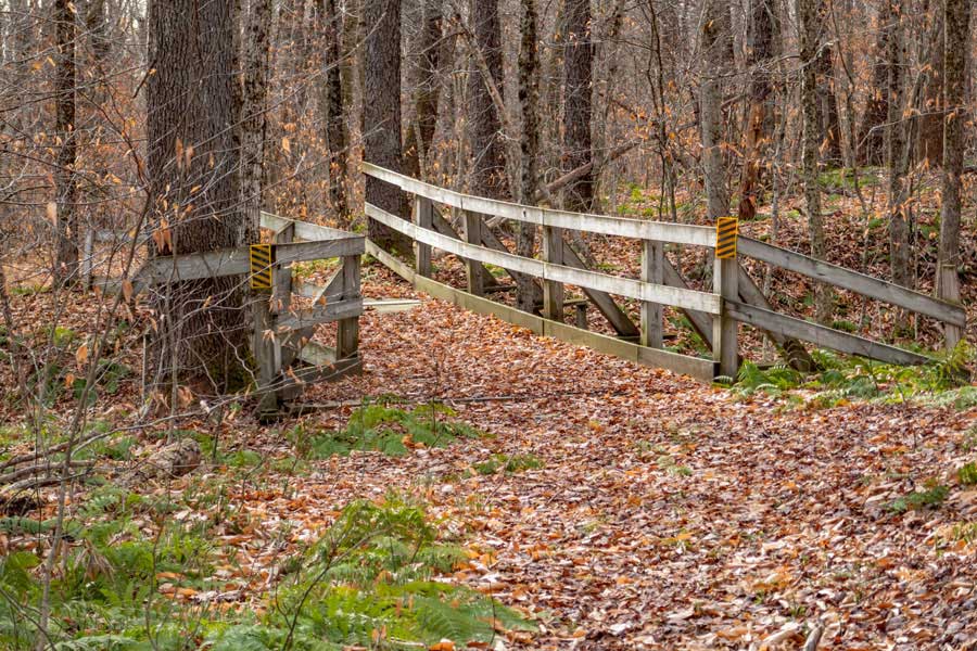 first wooden bridge on the azalea trail in the Mongaup Pond region