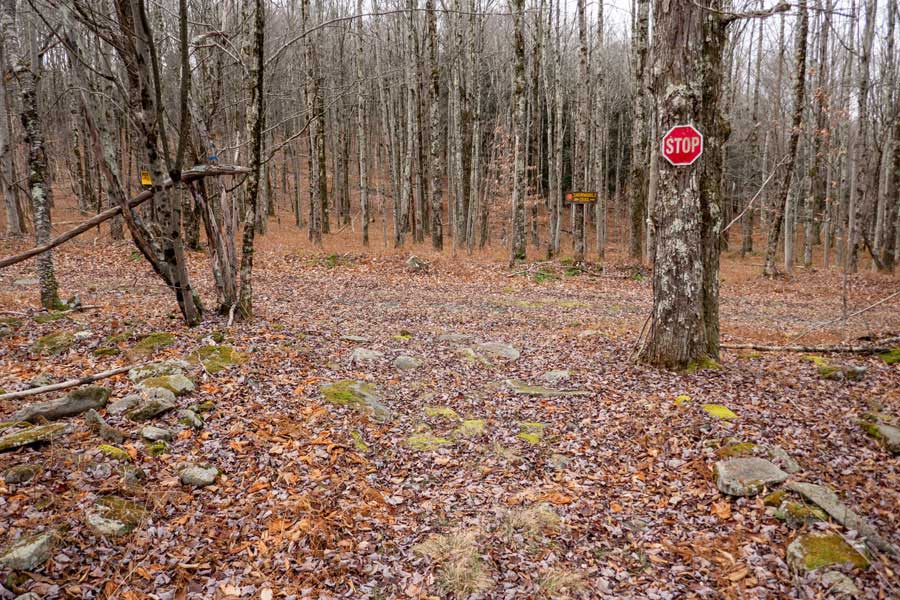 Trail Junction on the Azalea-Karst Loop Trail