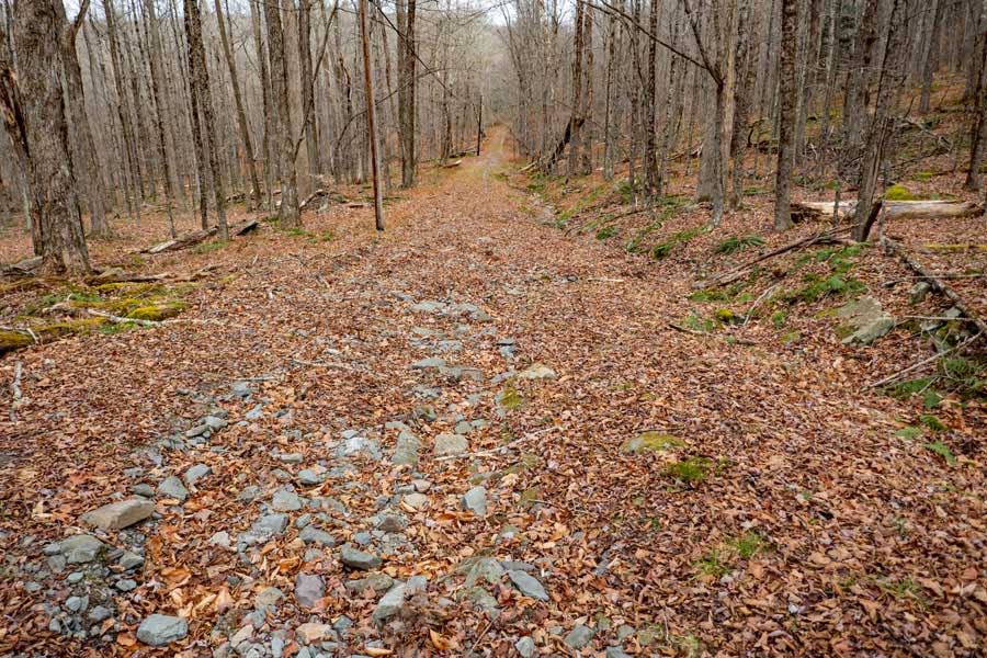 Hunter Road is now closed on the Azalea - Karst Loop Trail